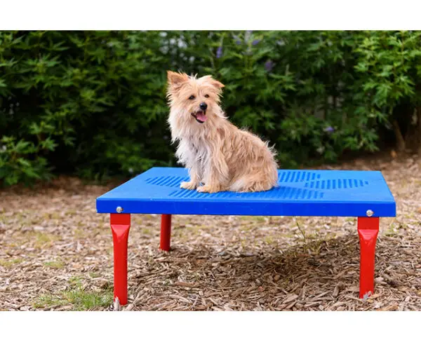 Paws Grooming Table - Image 3