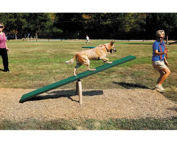 Teeter Totter - Image 3