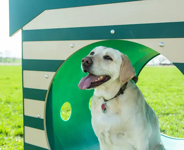 Recycled Crawl Tunnel W/Dog House - Image 2