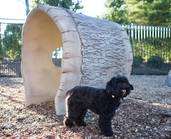 Log Tunnel - Image 3