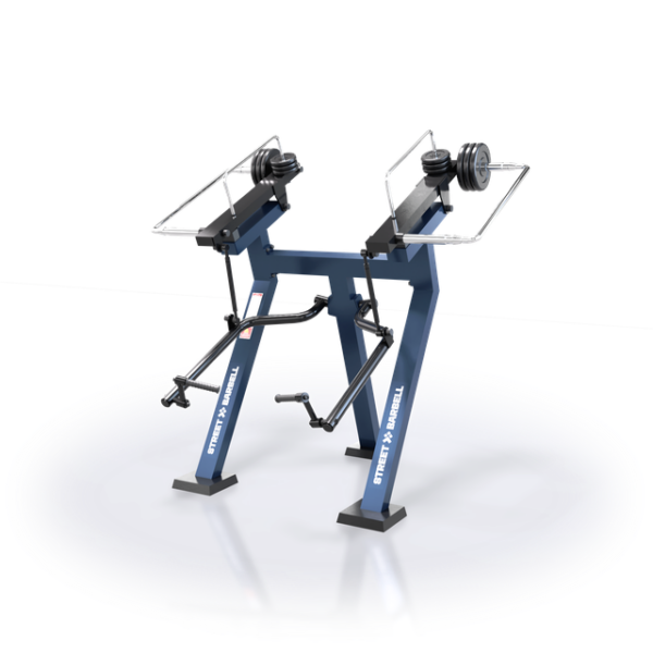 Standing Bicep Curl