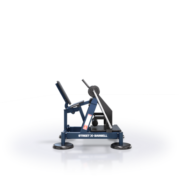Leg Extension
